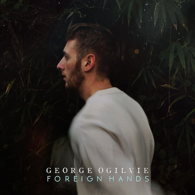 Album cover art for Foreign Hands