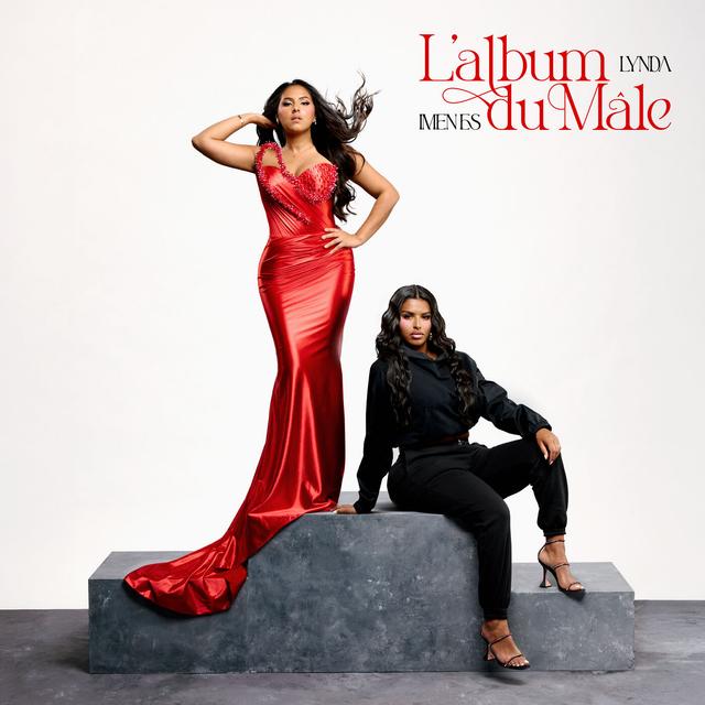 Album cover art for L'album du mâle