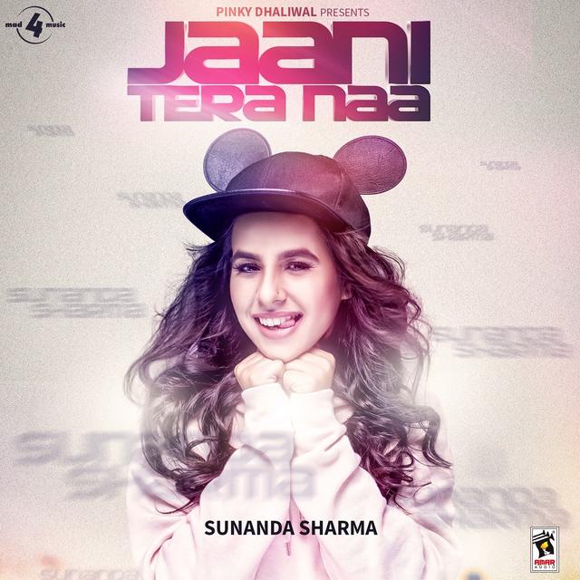 Album cover art for Jaani Tera Naa