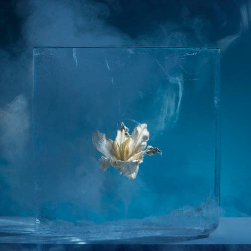 Album cover art for Sequence, Pt. I