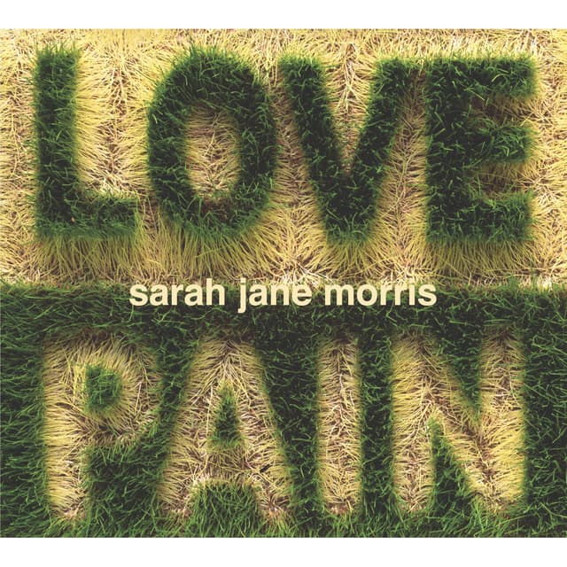 Album cover art for Love and Pain