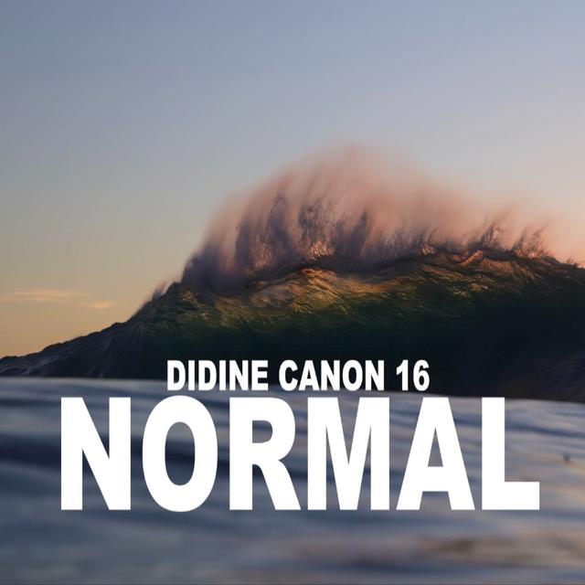Album cover art for Normal