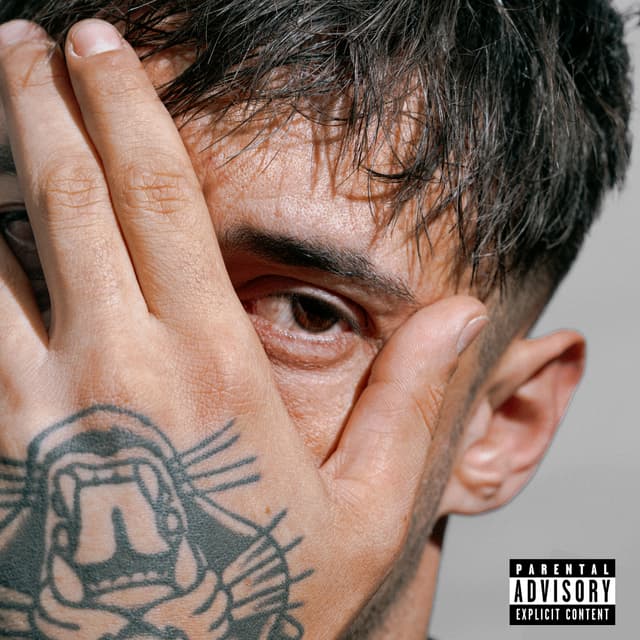Album cover art for DISONESTO