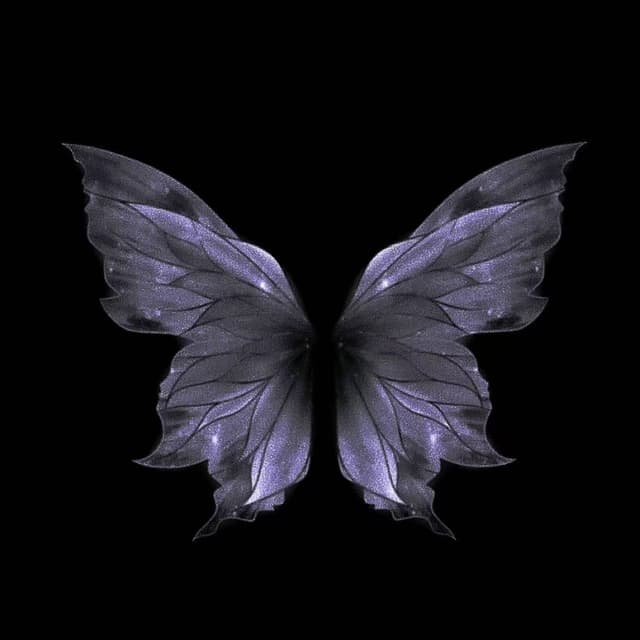 Album cover art for 孤独Person