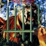 Cage