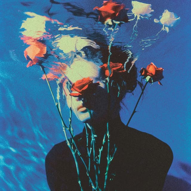 Album cover art for Too Much and Never Enough