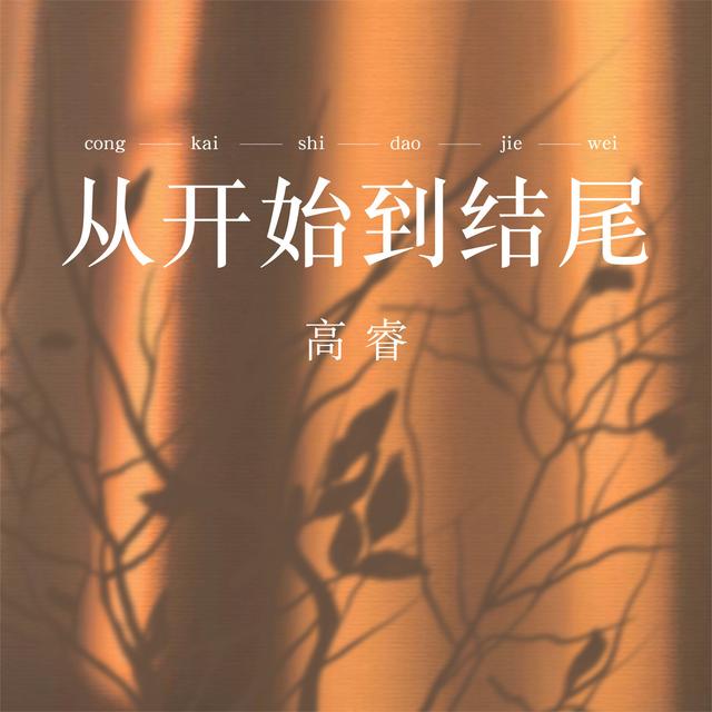 Album cover art for 從開始到結尾