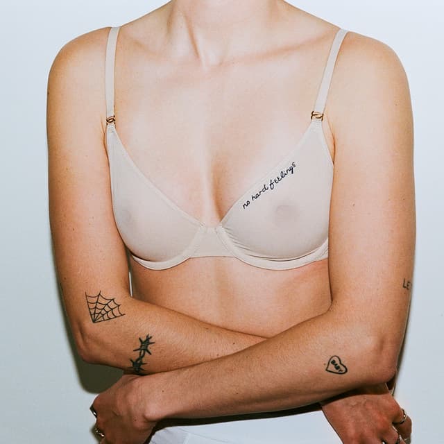 Album cover art for No Hard Feelings