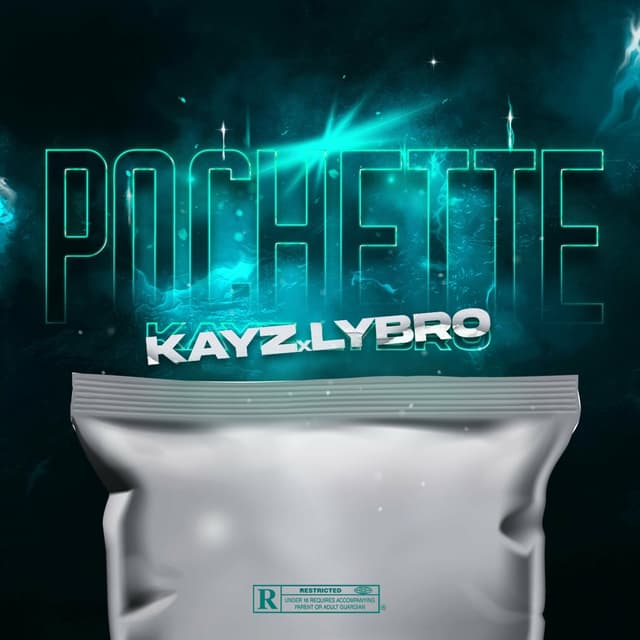Album cover art for Pochette