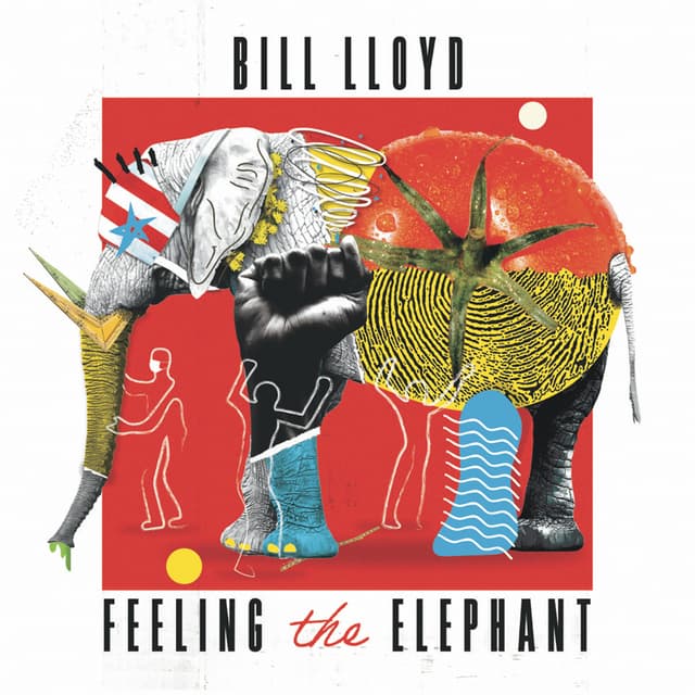 Album cover art for Feeling the Elephant (re-mastered and expanded)
