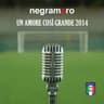 Un amore così grande 2014