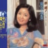 誰來愛我 (Shei Lai Ai Wo)
