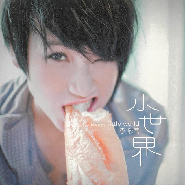 Album cover art for 小世界