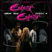 Album cover art for Esfrega Esfrega - Single