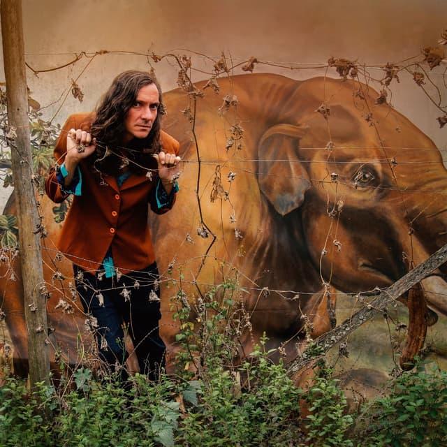 Album cover art for Não Dá Pra Agarrar
