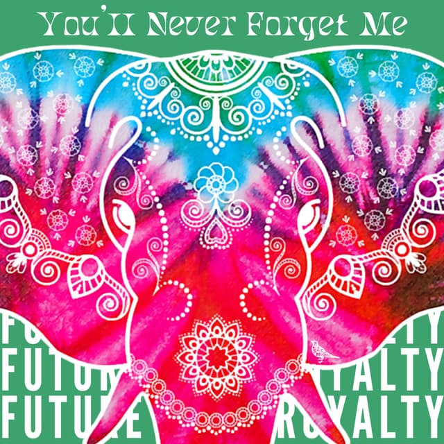 Album cover art for You'll Never Forget Me
