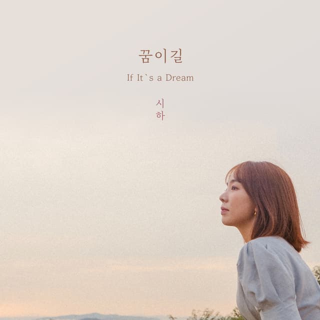 Album cover art for 꿈이길