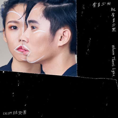 Album cover art for 有多少光就有多少黑