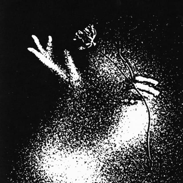 Album cover art for Taking Shape