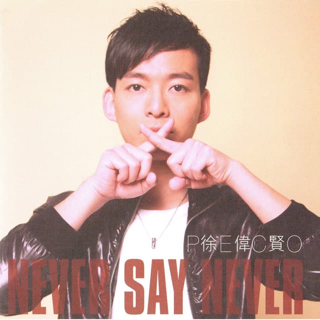 Album cover art for Never Say Never