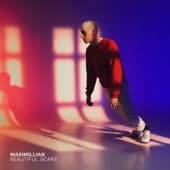 Album cover art for Beautiful Scars
