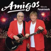 Album cover art for Wie Ein Feuerwerk