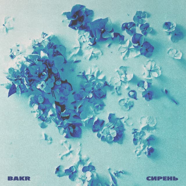 Album cover art for Сирень