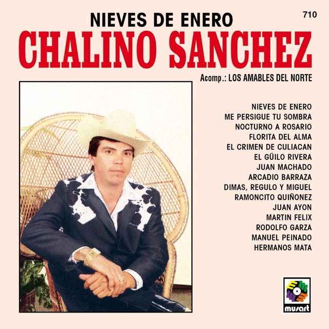 Album cover art for Nieves De Enero