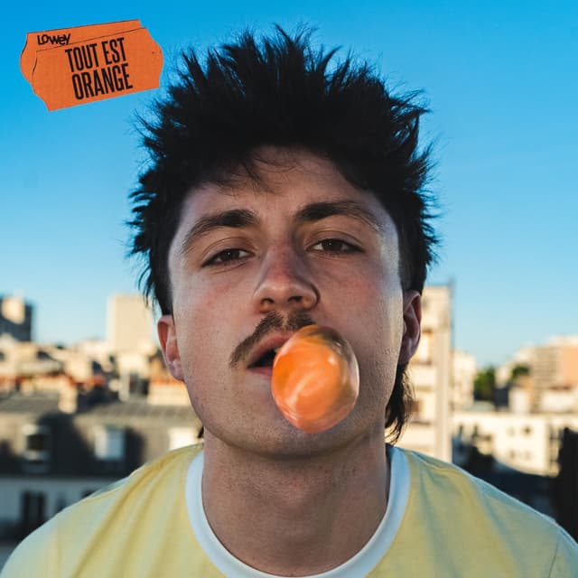 Album cover art for TOUT EST ORANGE