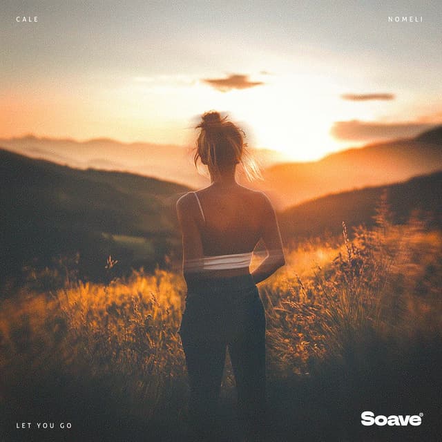 Album cover art for Let You Go