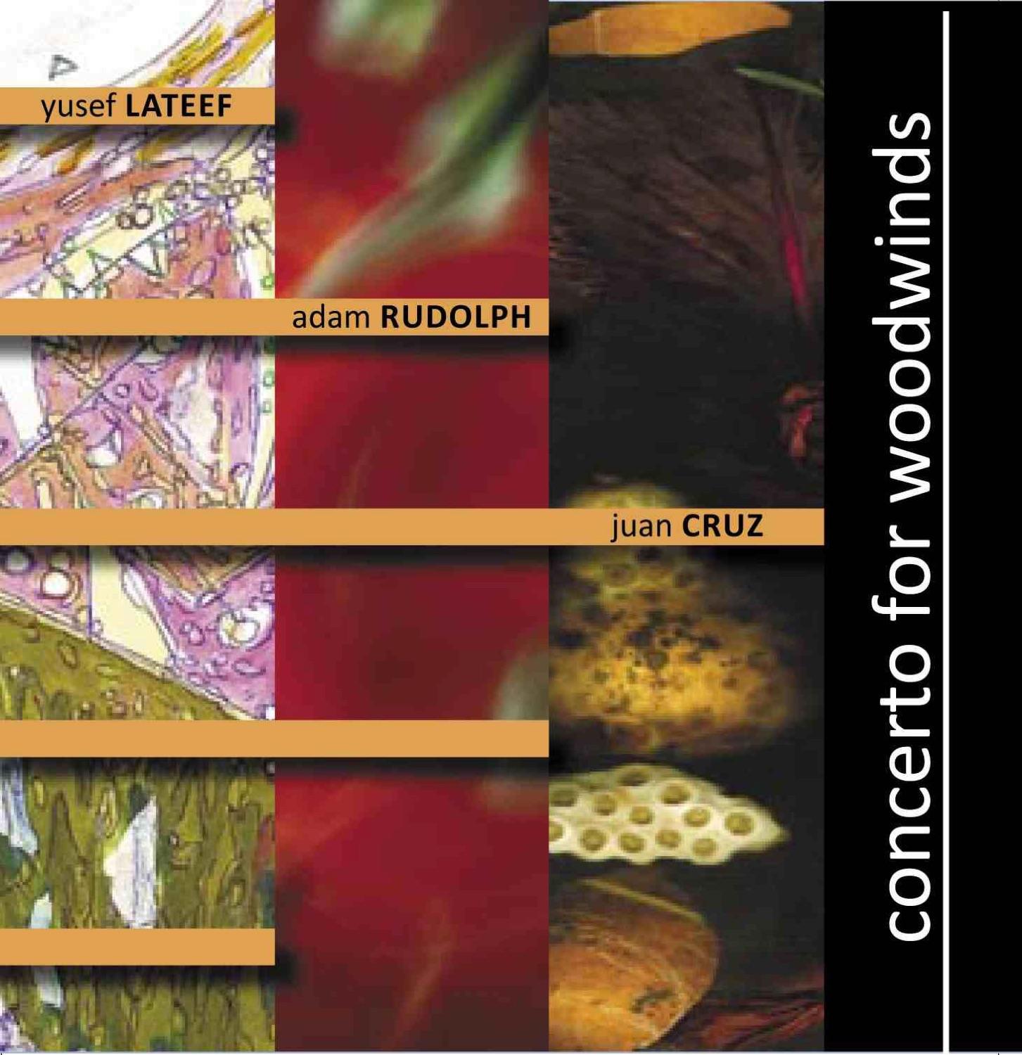 Concerto for Woodwinds