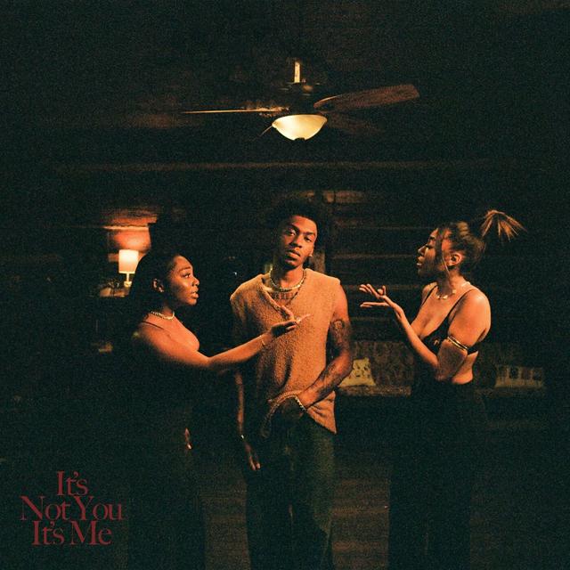 Album cover art for it’s not you, it’s me