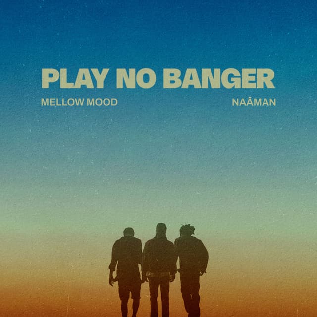 Album cover art for Play No Banger