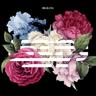 꽃길 FLOWER ROAD (FLOWER ROAD)