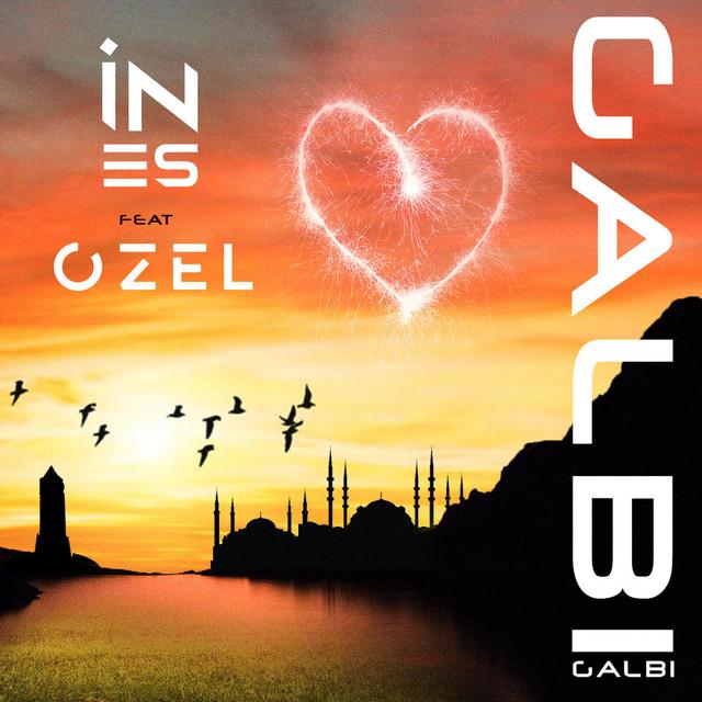 Album cover art for Galbi