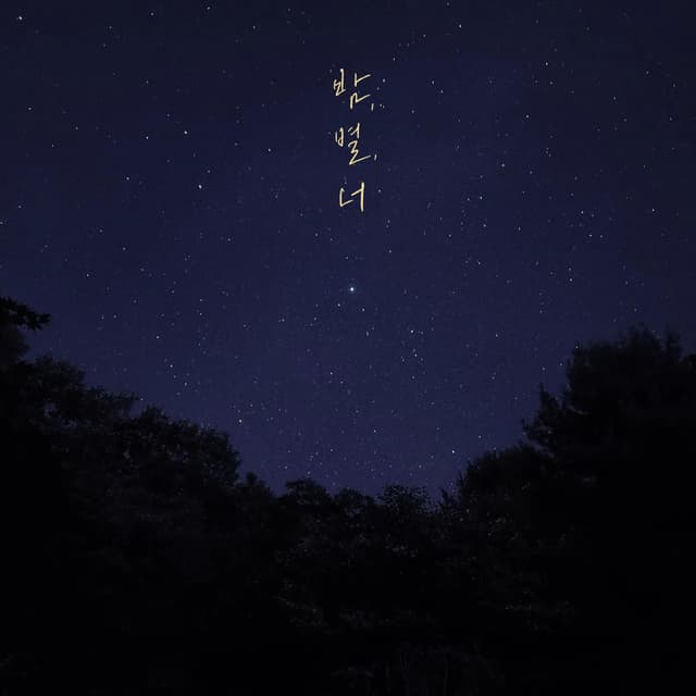 Album cover art for Night, Star, You