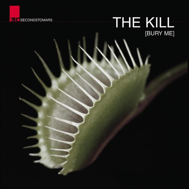 Album cover art for The Kill