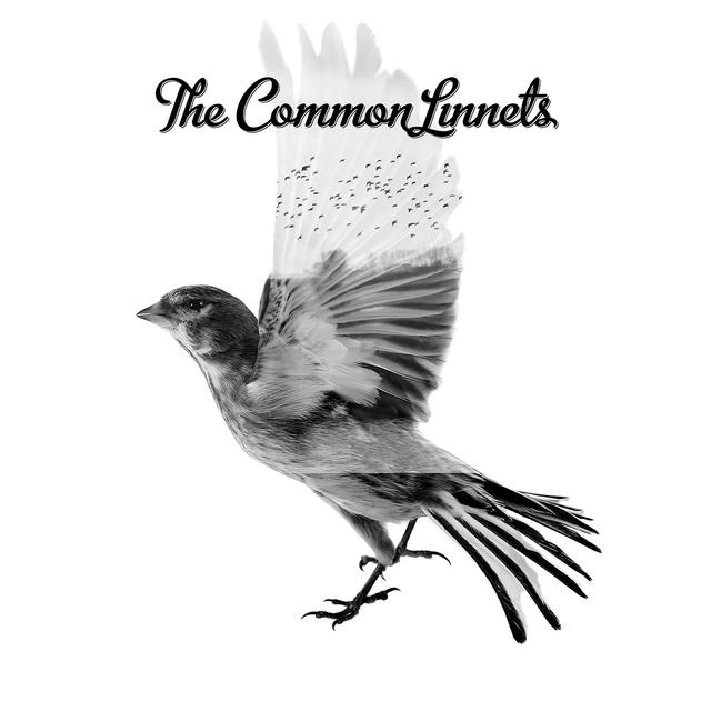 Album cover art for The Common Linnets