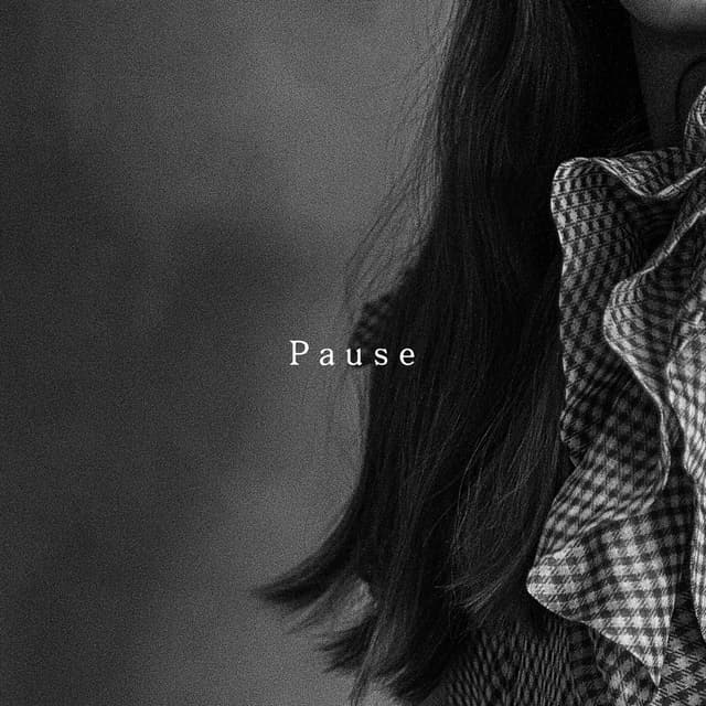 Album cover art for Pause