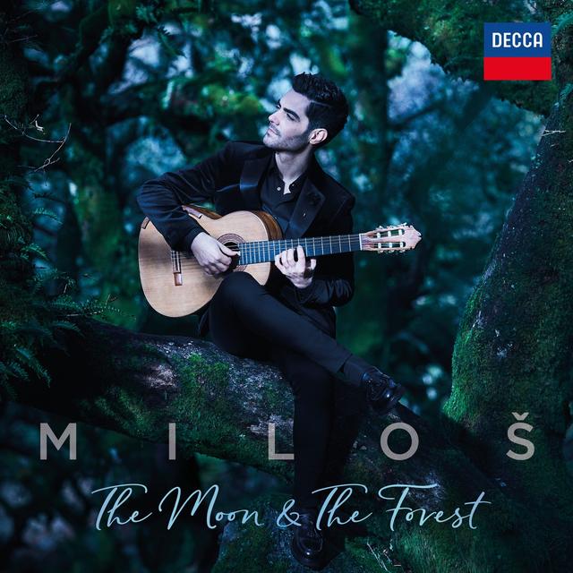 Album cover art for The Moon & the Forest