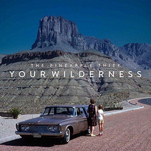 Album cover art for Your Wilderness