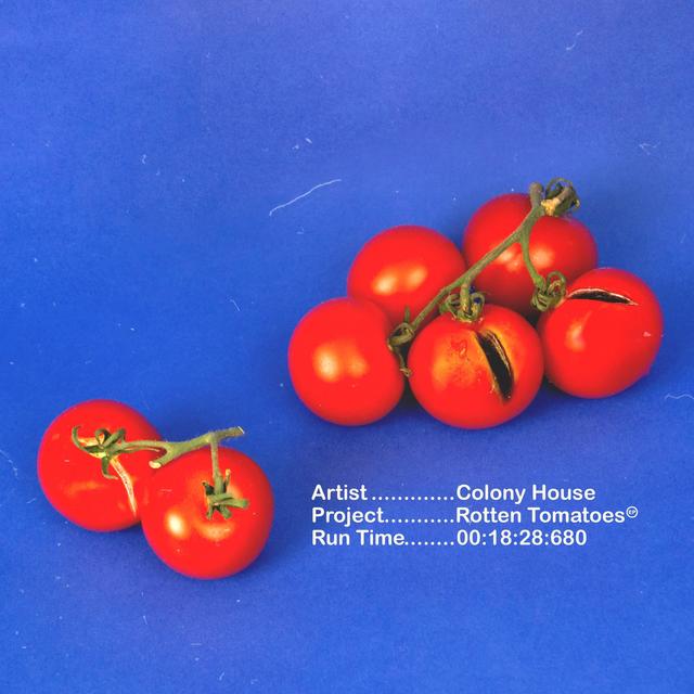 Album cover art for Rotten Tomatoes