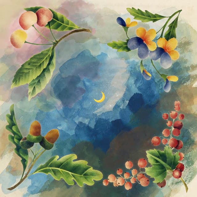Album cover art for Midnight Tangerine