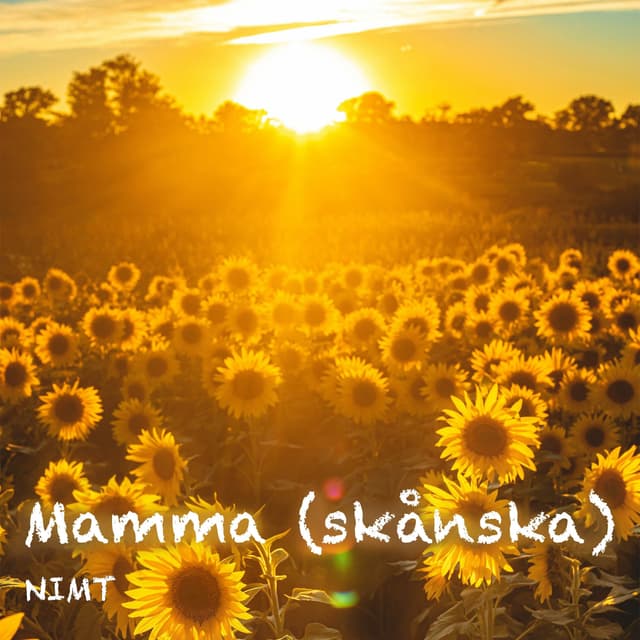Album cover art for Mamma (skånska)