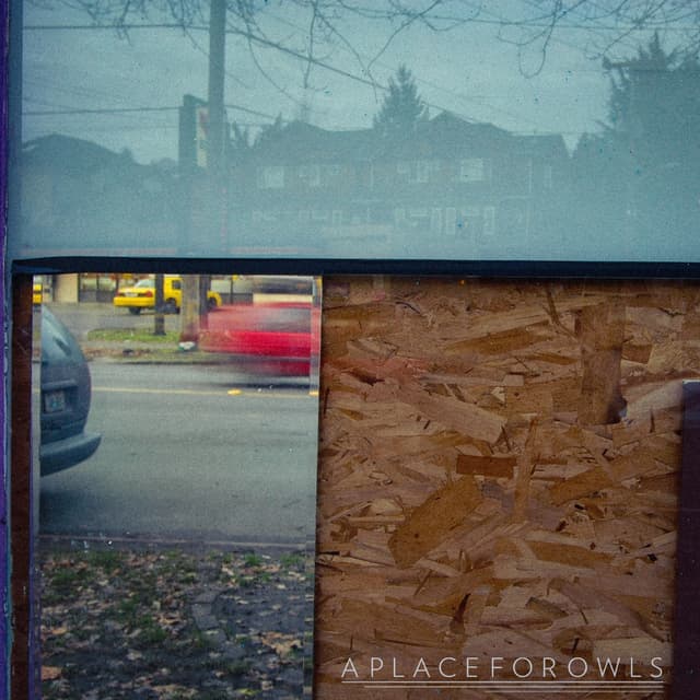 Album cover art for A Place For Owls