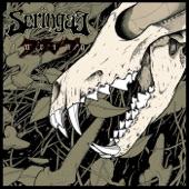 Album cover art for Taring