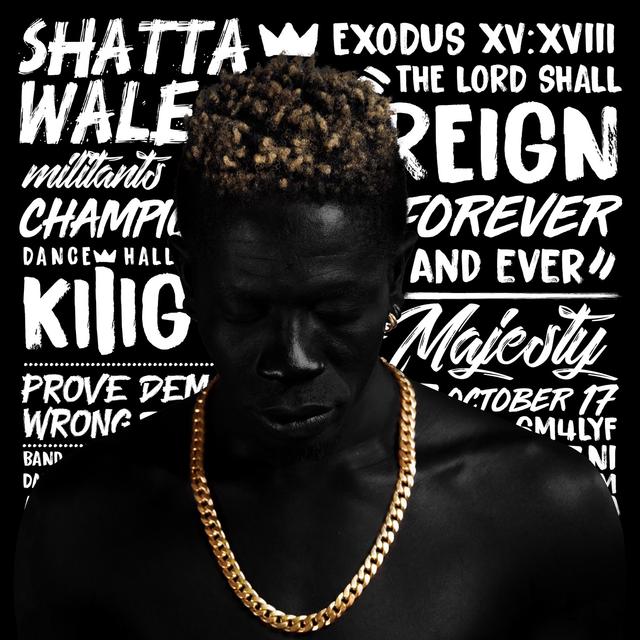 Album cover art for Reign