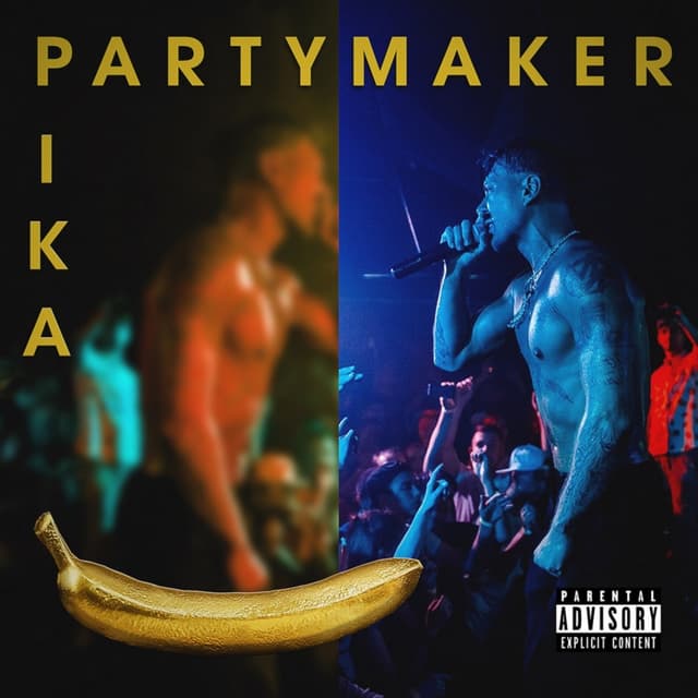 Album cover art for Partymaker