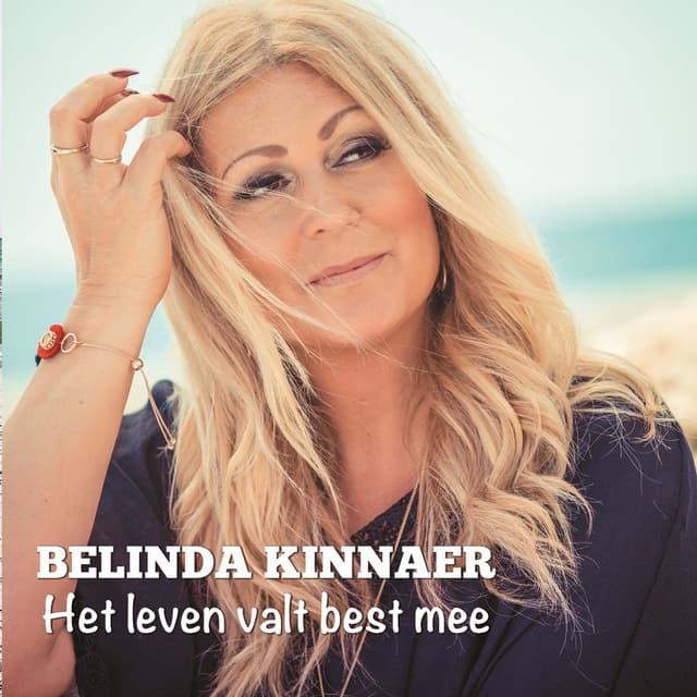 Album cover art for Het leven valt best mee