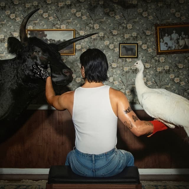 Album cover art for jones